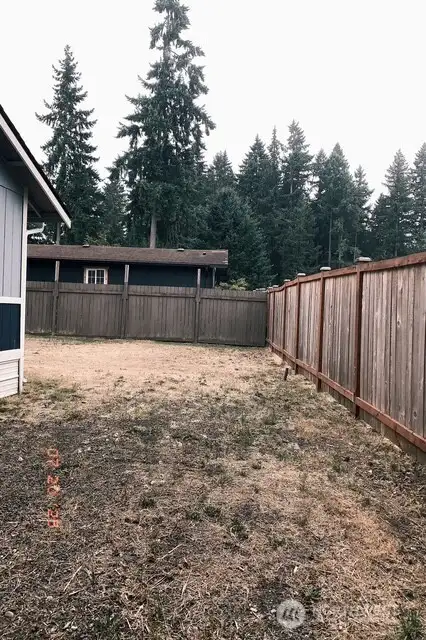 View of the back yard.