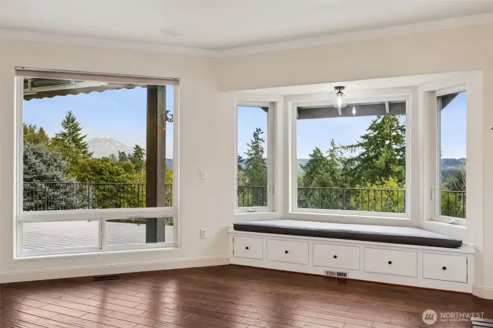 Awesome view of Mt. Rainier!! Bench with storage.