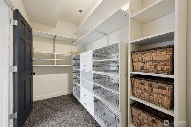 California Closet in Downstairs Bedroom