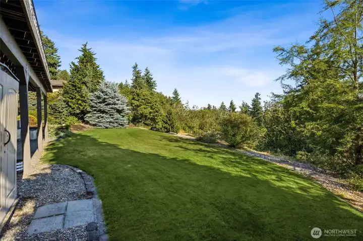 Back yard with invisible fencing
