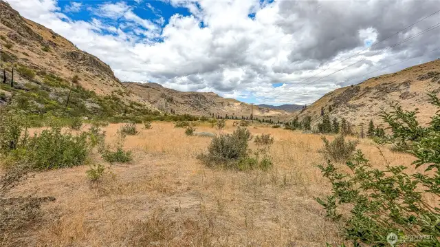 Looking North from South end of property.