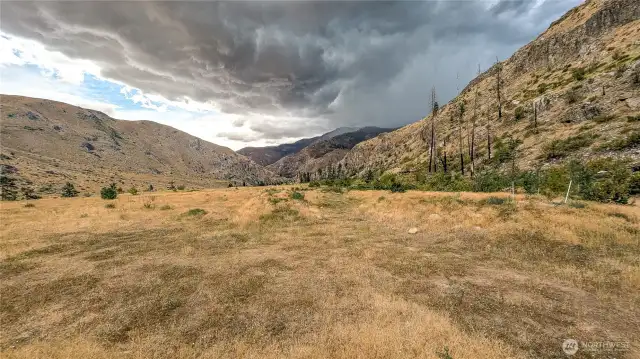 Looking South from North area of the property.