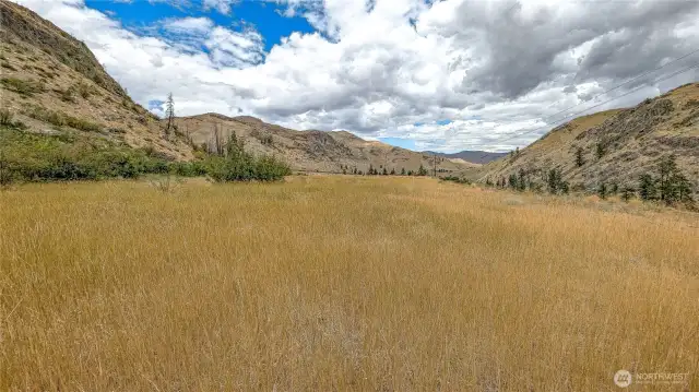 Center of property looking North.