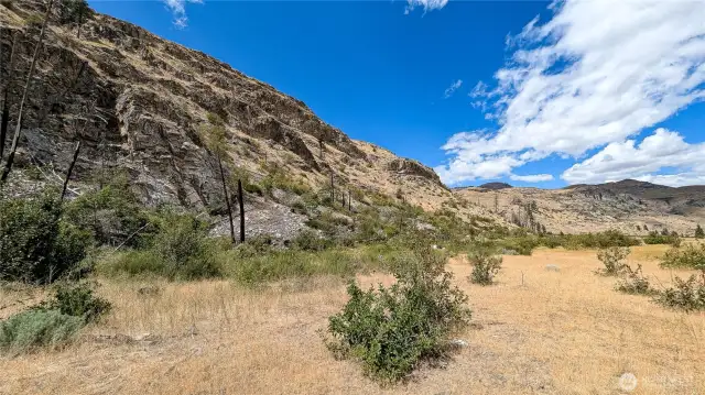 Looking west at hill side on South area of the property.