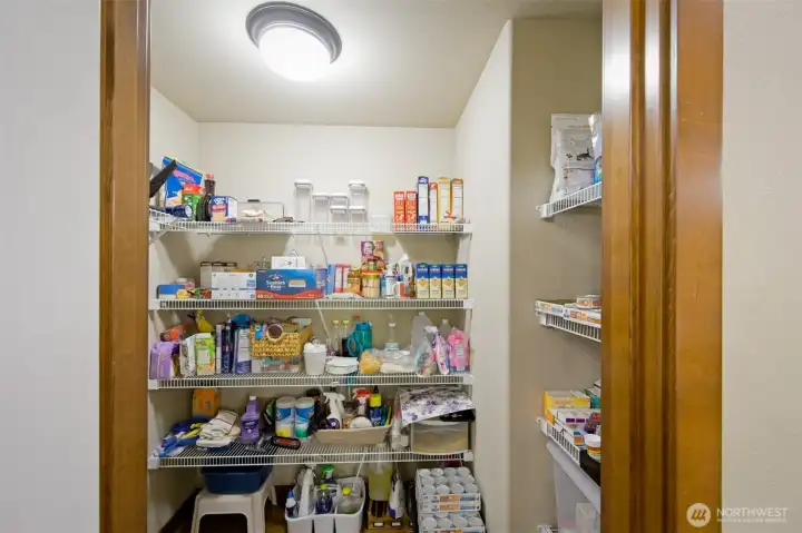 Lots of storage space in this walk-in pantry!