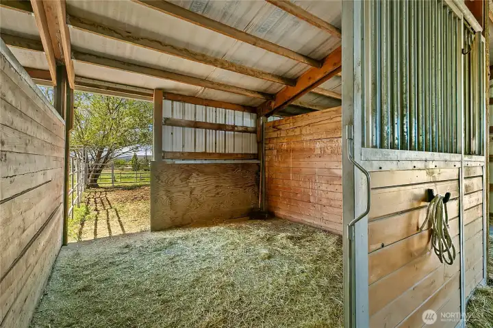 Stall with Paddock Access Stall with Paddock Access