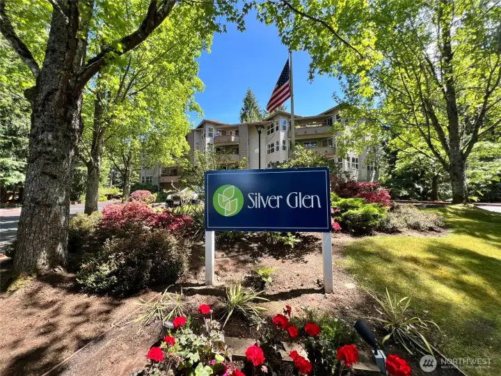 Welcome to Silver Glen