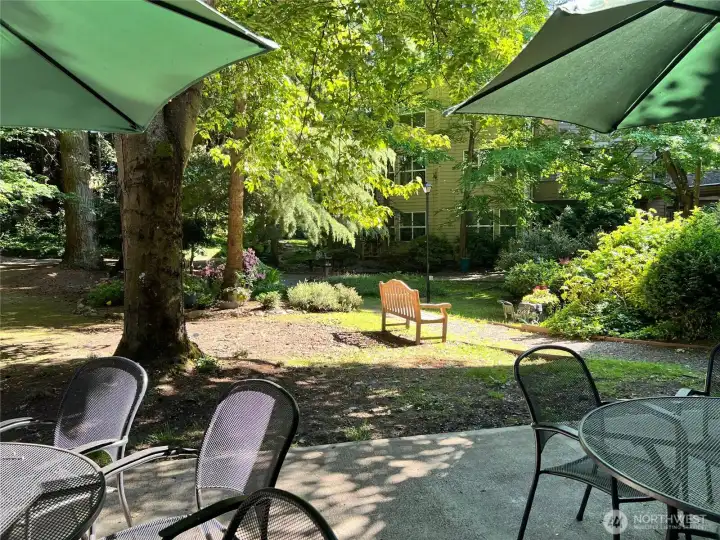 Courtyard Patio