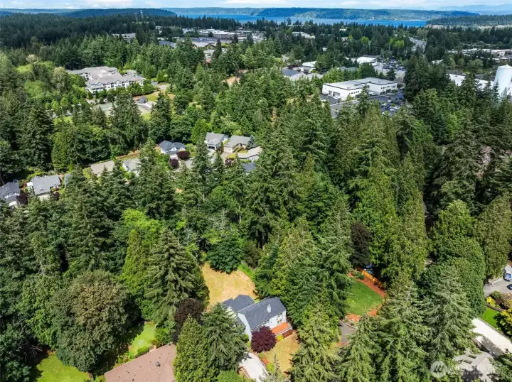 Aerial view showcases the property's private, tree-lined setting with convenient access to nearby amenities and recreation. Aerial view showcases the property's private, tree-lined setting with convenient access to nearby amenities and recreation.