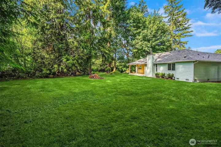 Backyard