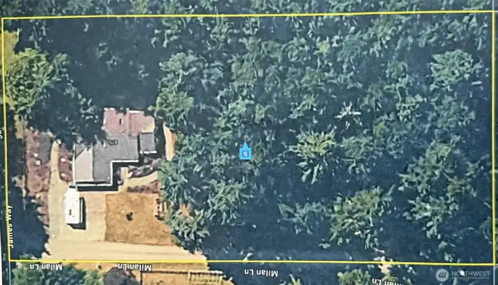 The home sits on 1.25 acres. Keep it wooded or clear part or all of it. Lines are approximate. The home sits on 1.25 acres. Keep it wooded or clear part or all of it. Lines are approximate.