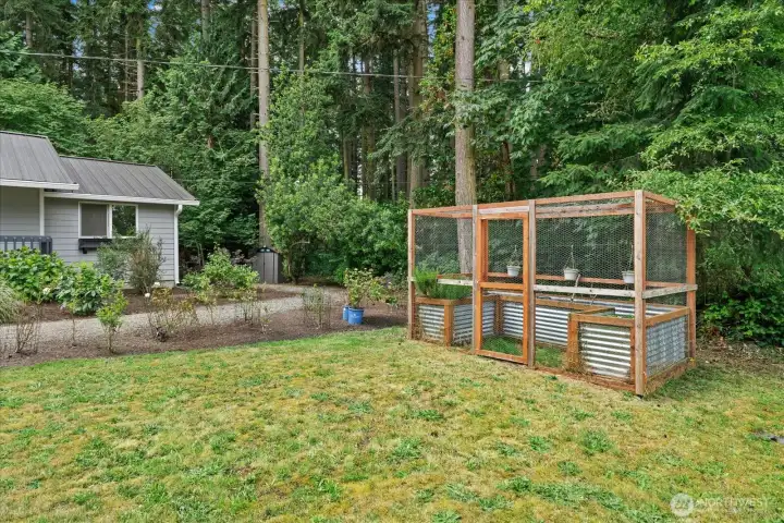 Enclosed raised garden beds. Enclosed raised garden beds.