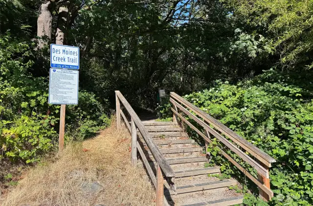 Des Moines Creek Trail access right at the end of the street!