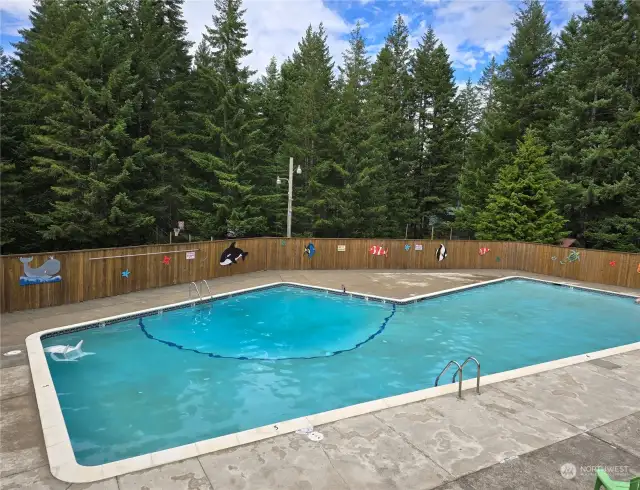 Colony Surf swimming pool