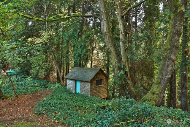 Perched on the side of the forest is an old artists cabin that has a fireplace and built in shelves. Ripe for a new life, a perfect place to unleash your creativity.