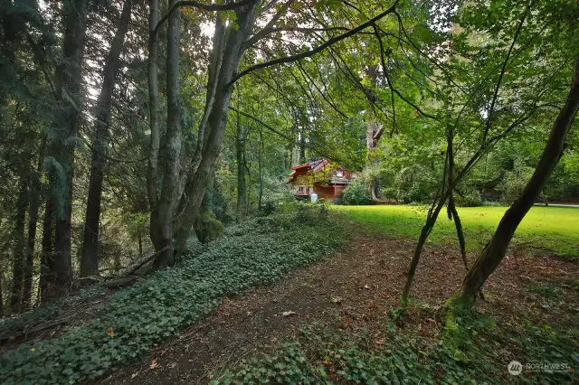 The artist cabin is to your back. This photo gives you perspective of the proximity to the cottage.  Note the level, lush yard! Plenty of space for pups!