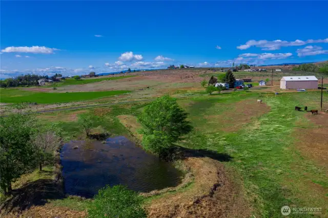 Pond and looking North
