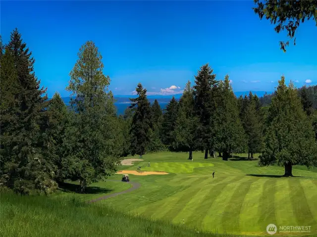 The beautiful 18-hold championship Port Ludlow Golf course is two doors down from this lot! Membership optional.