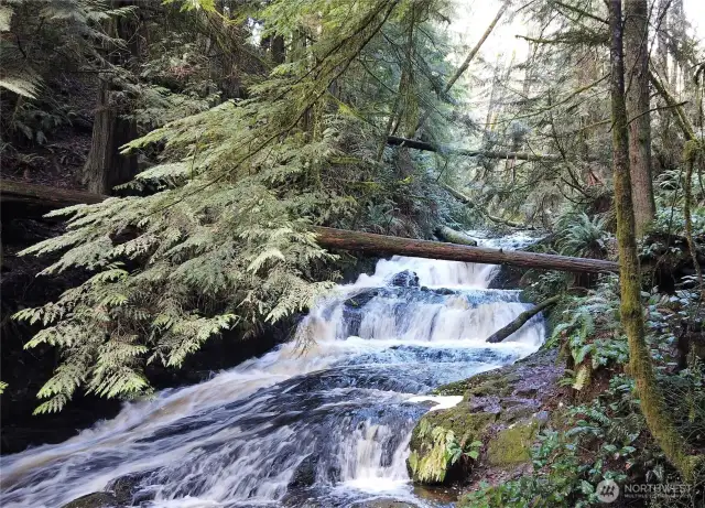 The nearby Port Ludlow Falls is one of many local sites and one of over 34 miles of local beautiful walking trails.