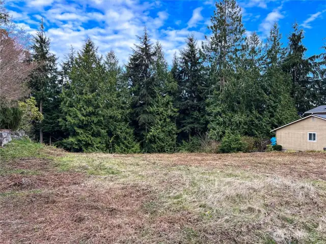 Native Firs and Cedars grow in the green belt at the back of the lot. Great building site with utilities on the street.