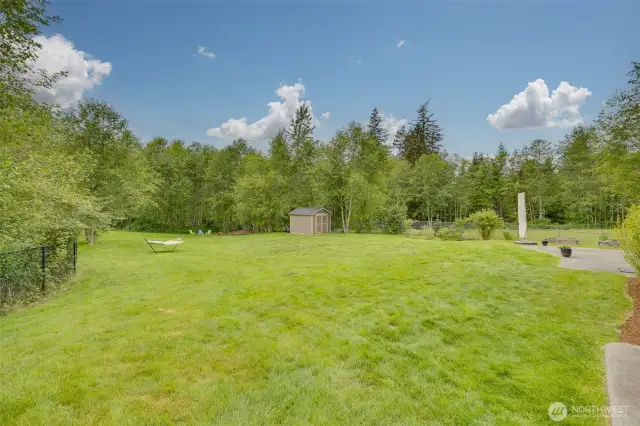 Backyard