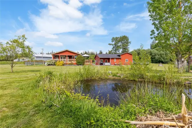 Back view from pond