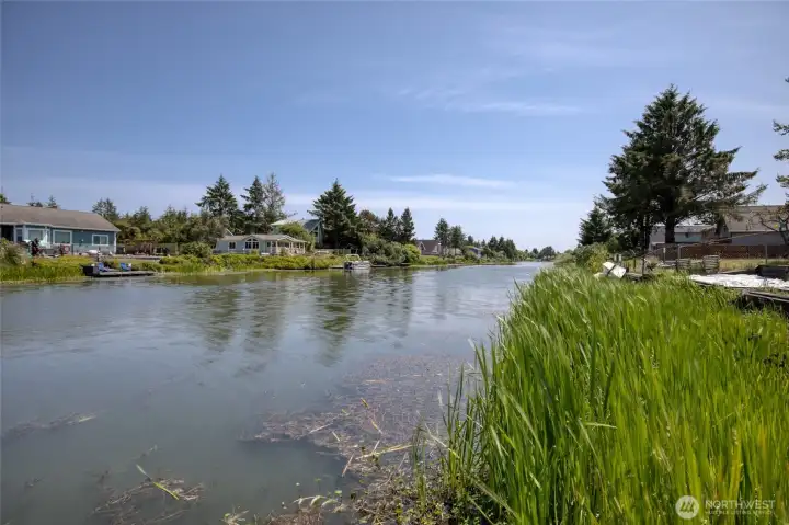 Enjoy the abundance of wild life from your dock