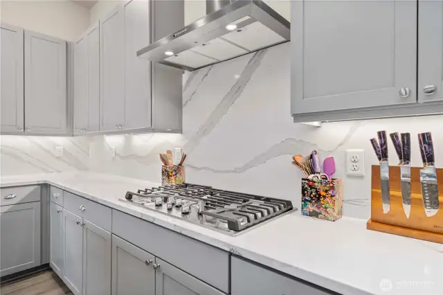 Attractive hood vent and stunning slab Quartz backsplash.