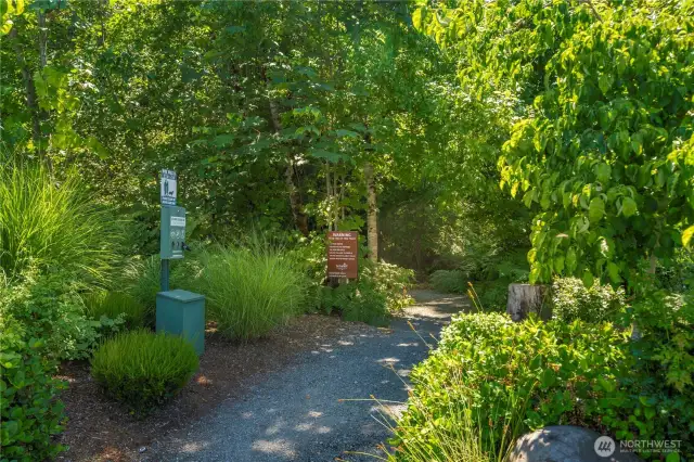 This trailhead enshrouded in trees is located directly across the street from the home.
