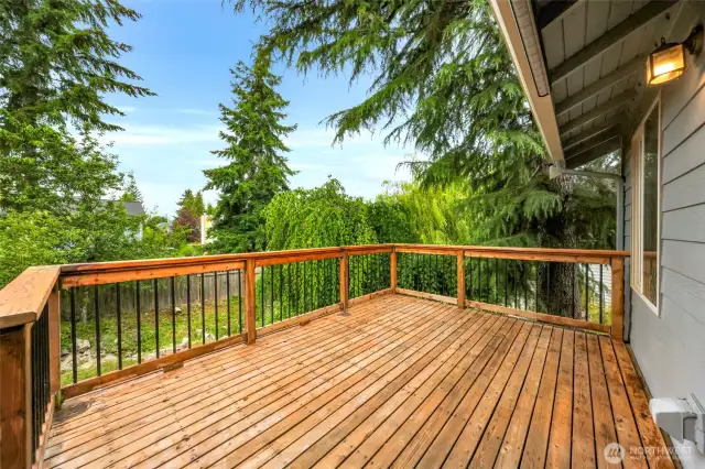 Large back deck