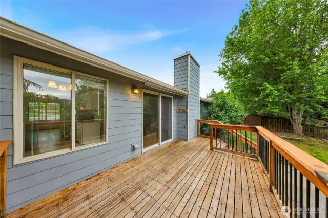Enjoy privacy in your back yard