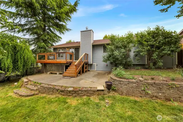 Lots of backyard space