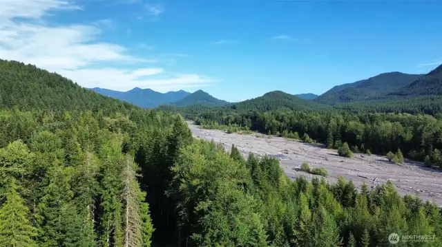 Nisqually River access short distance from home!