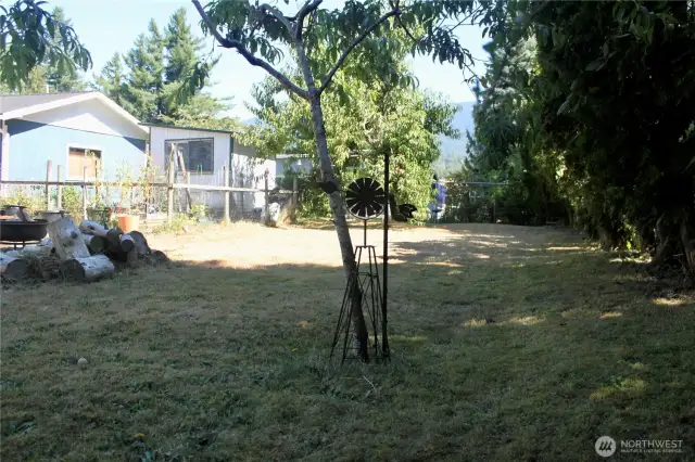 back yard view