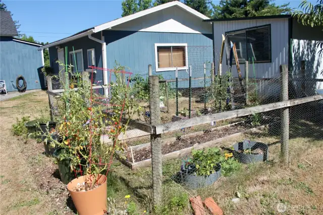 garden area with gardening shed