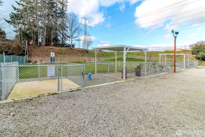 Dog Park