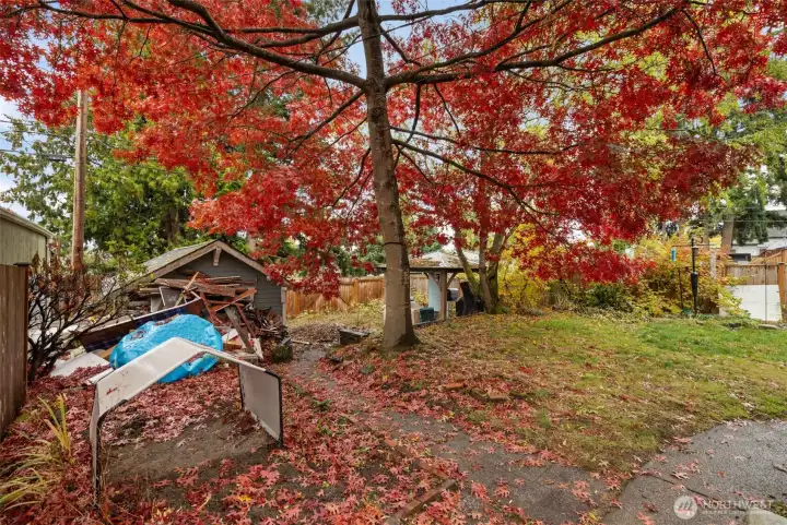 Lots of backyard potential, flat with a small terrace