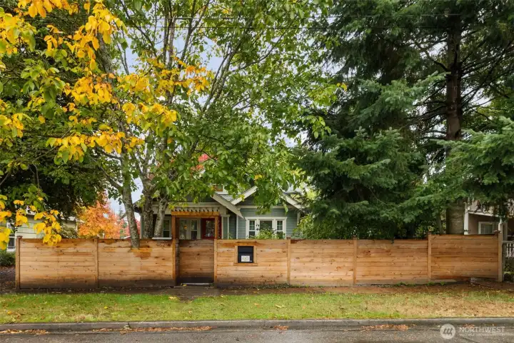 Fully fenced on a quiet, tree-lined street.