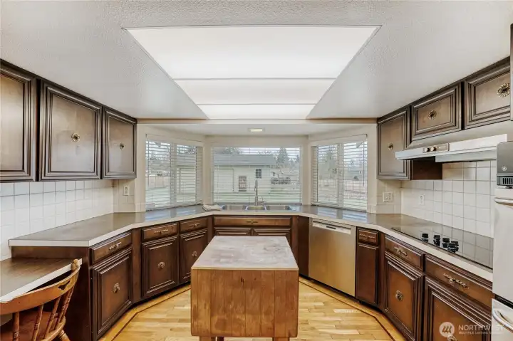 Kitchen overlooks the awesome backyard