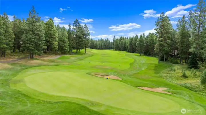 8th Green-Prospector Golf Course