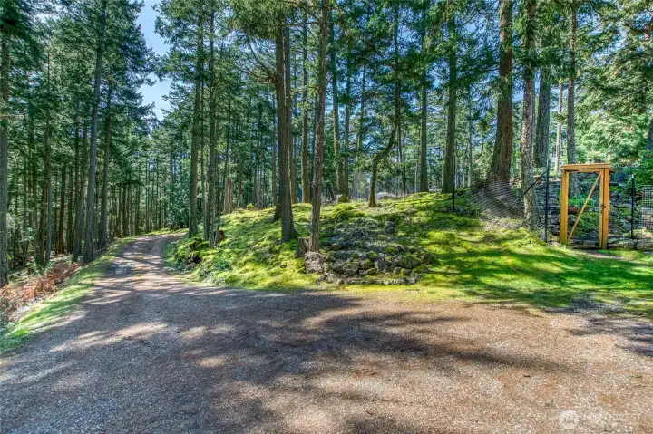 Driveway winds itself up the hill through a bucolic forest of green.