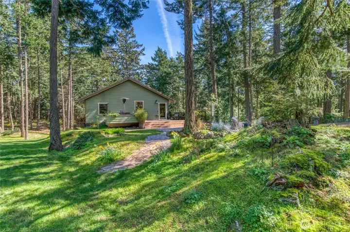 Kitchen west side of the house, shows a different view of deck and patio area. The grounds are filled with mossy knolls and sunlight streaming through the trees.