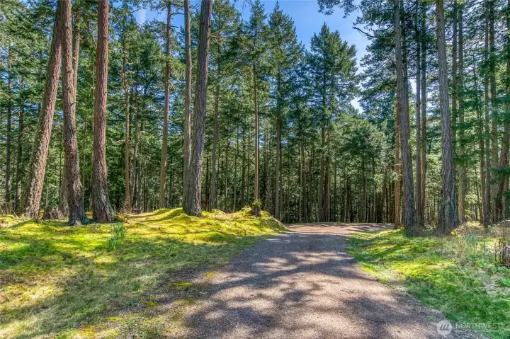 Drive through this beautiful forest, arrival reminds you how serene mother nature s fresh air and colors are. Listen and you will find peace on this private 12+ acre estate.
