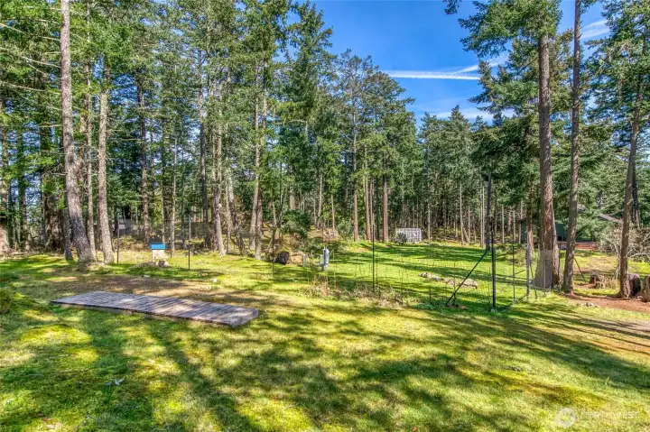 Looking north from shop site. This property has infrastructure as follows: two wells, two septic tanks, permitted 5 bedroom septic drainfield, dual-fuel enclosed backup generator, underground piping for future rainwater catchment system, 500 gallon buried propane tank.