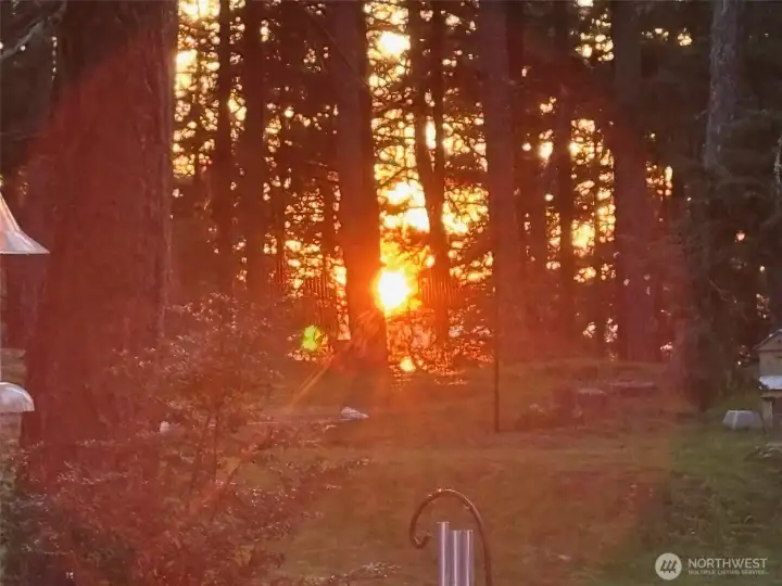 Western sunset colors shine through the trees. imagine how spectacular this would be with a little work to open up space for more sky, sunshine and water views!!