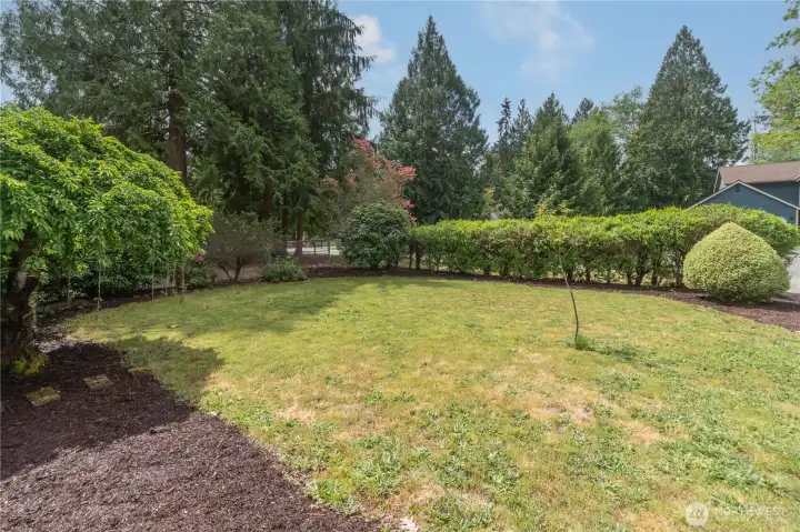 Front yard has a hedge row close to the street.