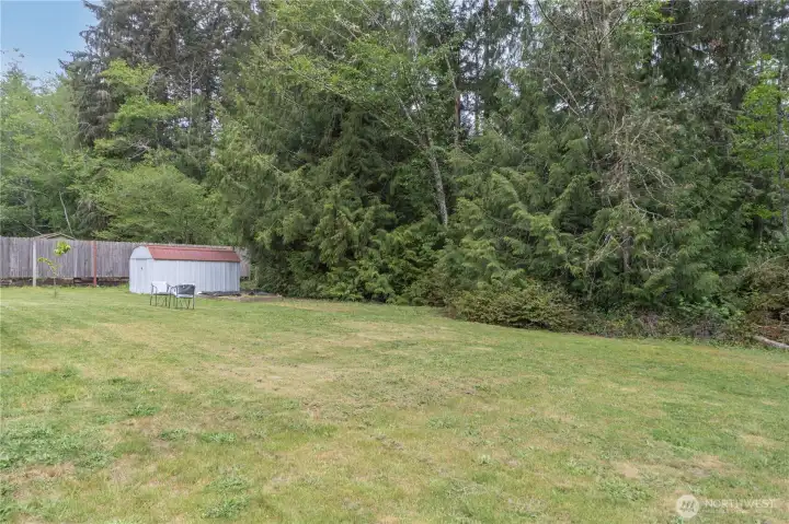 Backyard, green space and utility shed.