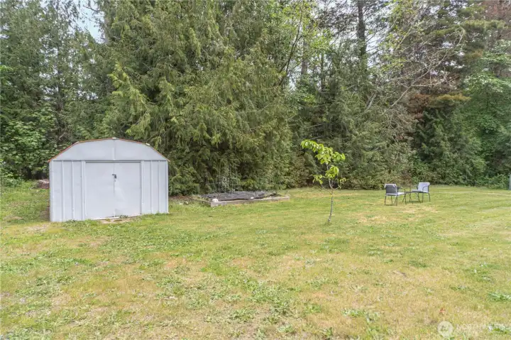 Back yard.