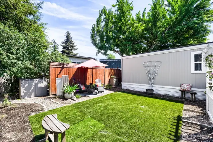 Low maintenance yard with turf
