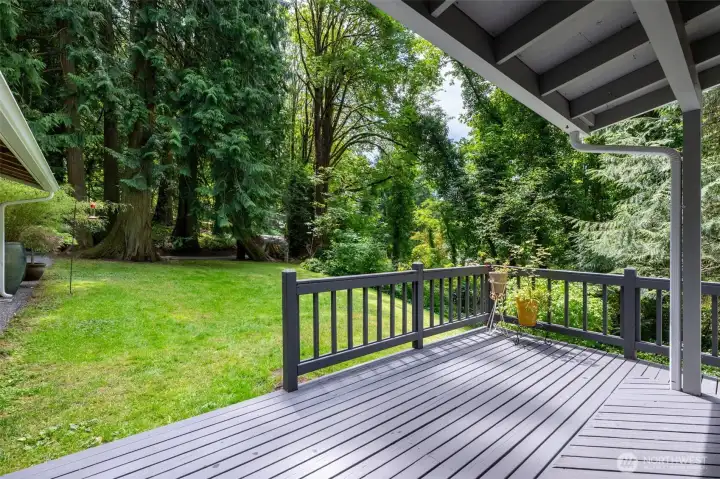 This is your view from your front porch. Humming birds love to visit! This is your view from your front porch. Humming birds love to visit!